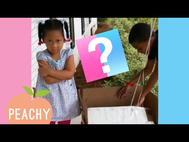 Boy Or Girl? | Funny Gender Reveal Reactions