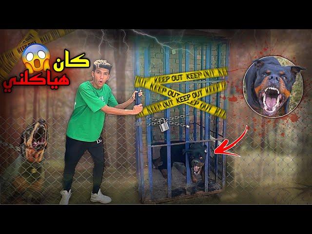 حبست كلب مجنون ساب من صحبه | اخطر تجربه 