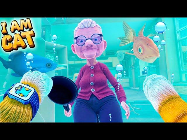 ¿Puedo esconderme de la abuelita en la pecera? (I Am Cat VR)