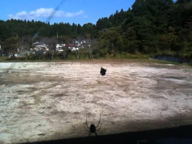 Tsunami Japan Destroys Elementary School. CREEPY...