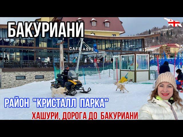 Едем в БАКУРИАНИ. Хашури. Прогулка по Кристалл Парку.  Цены в ресторанах Бакуриани. Февраль 2024