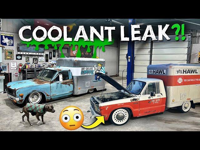 1977 Datsun coolant leak! 1981 Ford Courier paint RUINED? Can we fix them? Box Truck Mafia