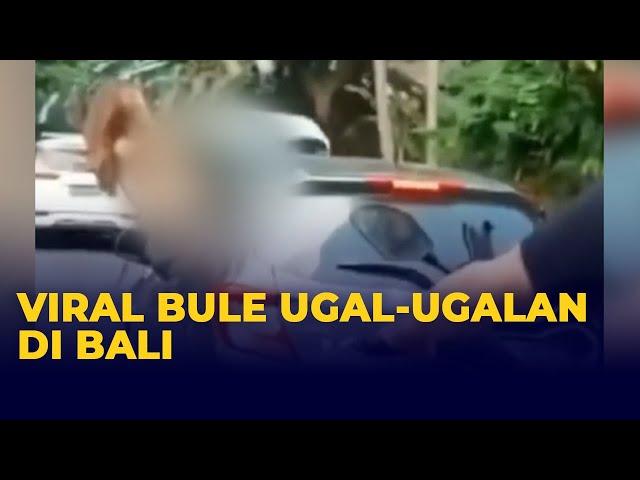 Viral Bule Berkendara Ugal-ugalan di Bali, Menari Keluarkan Badan Lewat Jendela Mobil