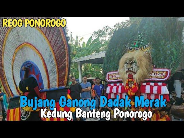 REOG PONOROGO  Kedung Banteng Ponorogo