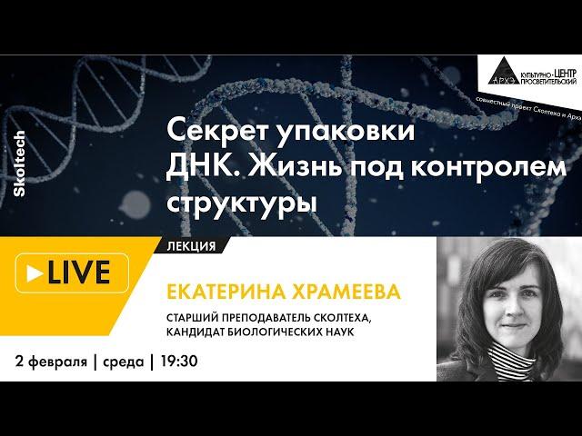 Лекция Екатерины Храмеевой "Секрет упаковки ДНК. Жизнь под контролем структуры" ("Сколтех в Архэ")