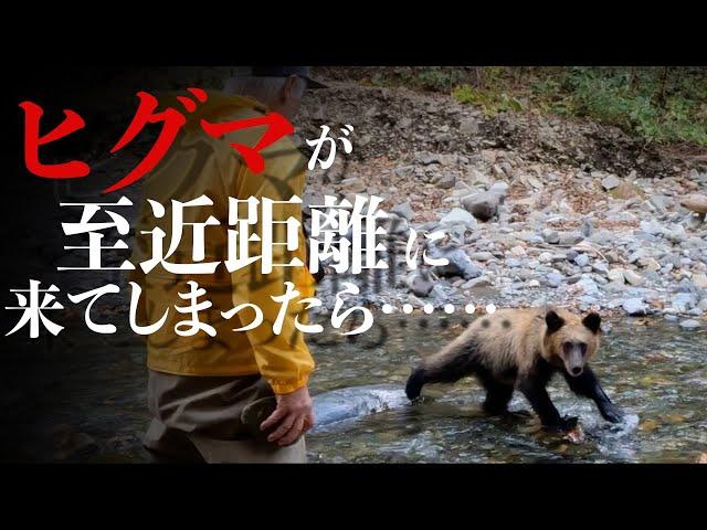 実録！ヒグマが至近距離に……その時どうする？