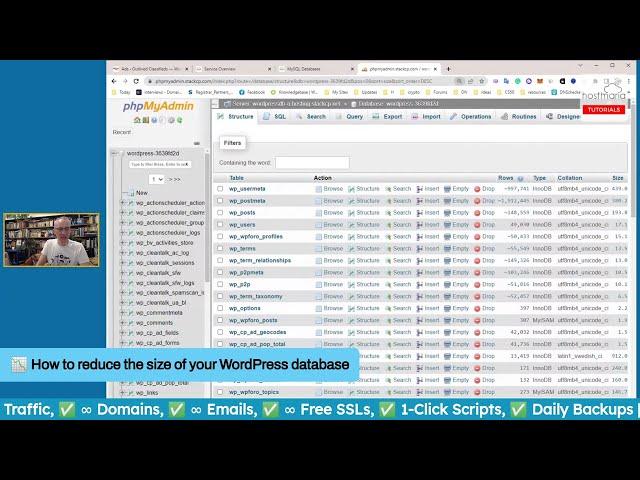 How to reduce the size of your WordPress database using 2 plugins