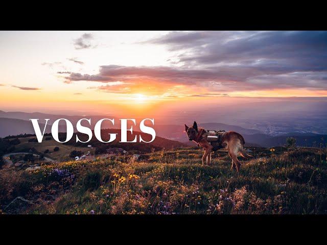 Solo Hiking GR5 Trail In Vosges Mountains France