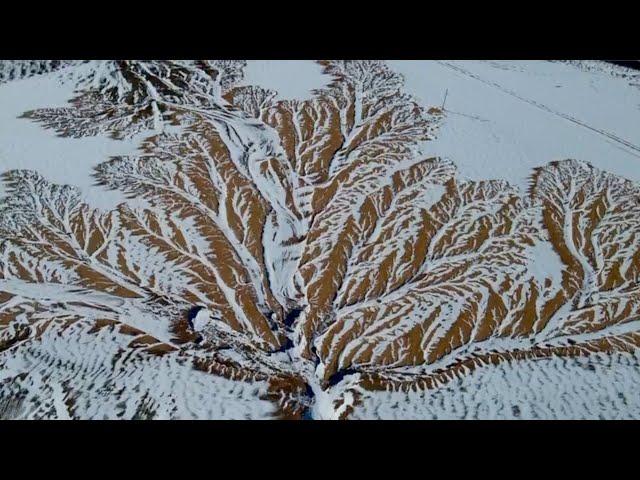 Tree-like shapes appear after snow in Tibet's Ngari