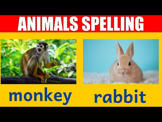 Forest Animal Names - Learn Spelling and Pronunciation in English