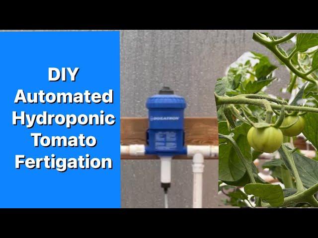 DIY automated fertigation system for hydroponic tomatoes, hydroponic lettuce, or anything else!
