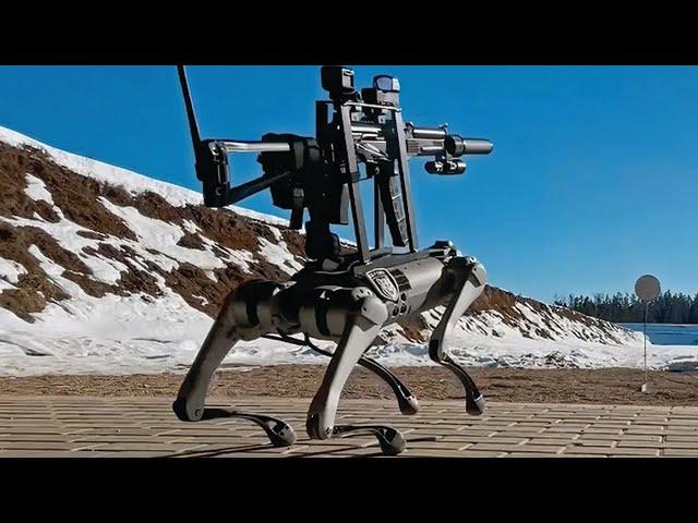 China Creates Military Wolf Robot That Can Follow Voice Commands in Real Time