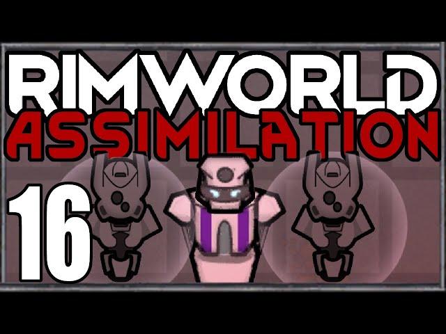 Rimworld: Assimilation #16 (Hardcore Merciless Wave Survival)