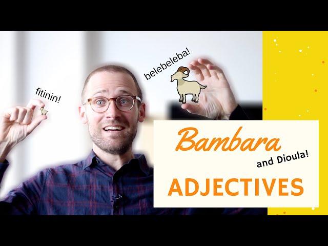 Adjectives in Bambara/Dioula | Basic Bambara 18