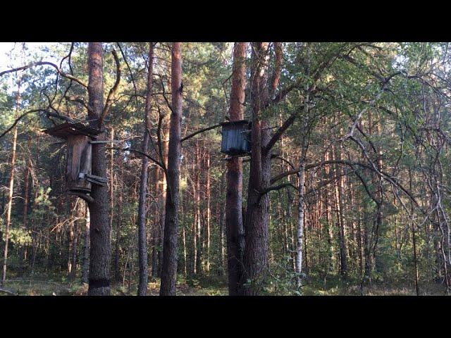 Вулик. Борть. Дуплянка. Довбанка. Колода для бджіл.