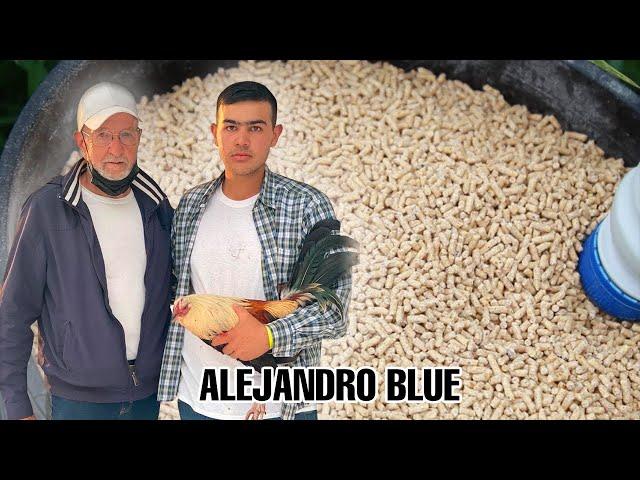 El Cuido - Alejandro Blue