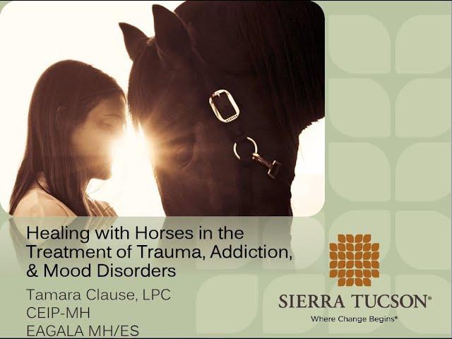 Healing with Horses in the Treatment of Trauma, Addiction & Mood Disorders