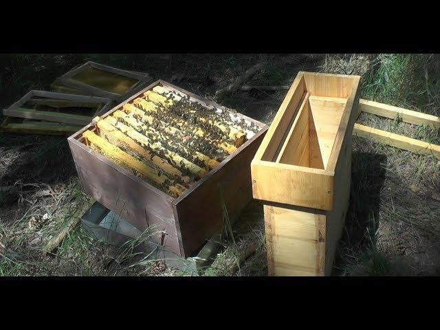 Beekeeping Simple Queen Rearing - Part 1 preparing the Cell Starter