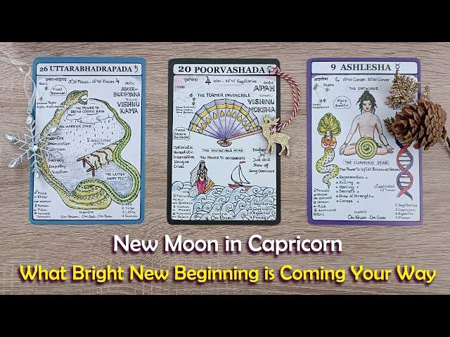 New Moon in CapricornWhat bright new beginning is coming your way!#pickacardtarot