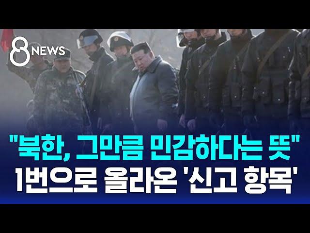 "북한, 그만큼 민감하다는 뜻"…1번으로 올라온 '신고 항목' / SBS 8뉴스