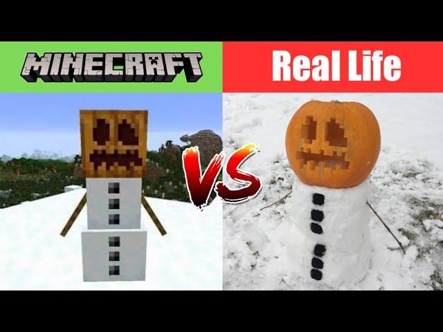 Minecraft Mobs in Real Life #1