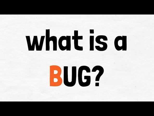 What is a Software Bug?