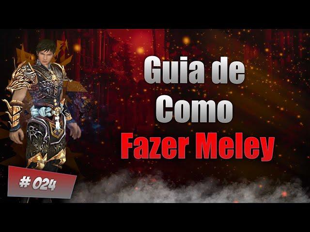 METIN2 | TIGERGHOST S2 : COMO FAZER O MELEY! (Melhor Dungeon Yang liquido!) #24