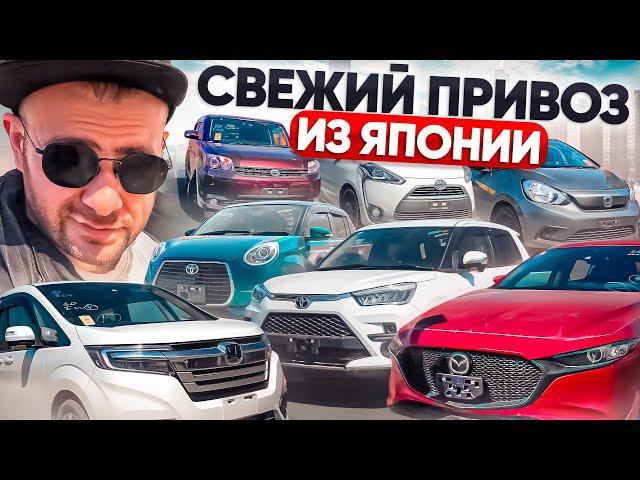 Свежий привоз авто из Японии. Rumion / Mazda 3 / StepWgn / Fit / Sienta / Passo / Raize