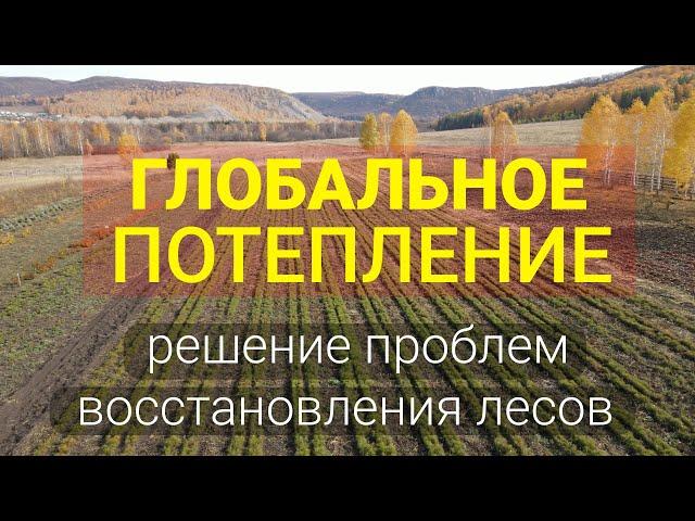 Ускоренное восстановление леса, спасение от глобального потепления