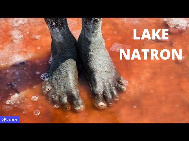 Discover Lake Natron, The Lake that Turns Animals to Stones