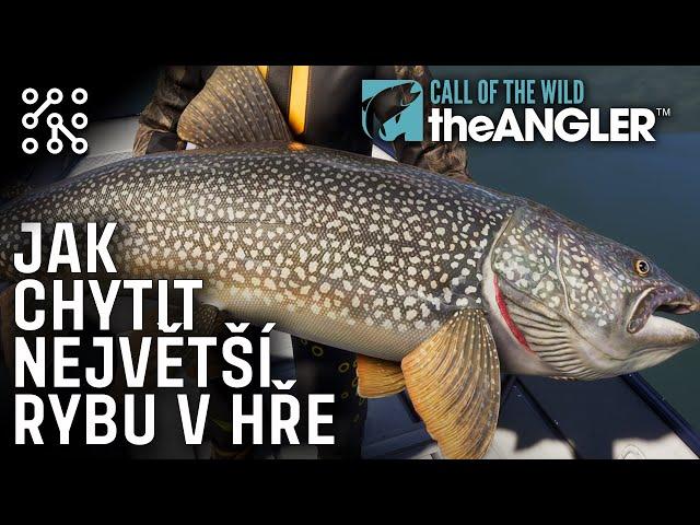 Chytil jem největšího DIAMANTA | Call of the wild: The Angler CZ  |  Česky