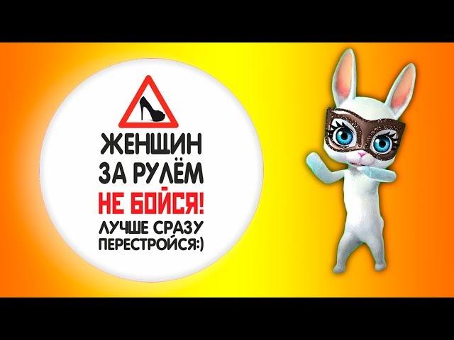 Сдай вождение, Вика! Шуточная песня переделка попурри от ZOOBE Зайки Natali