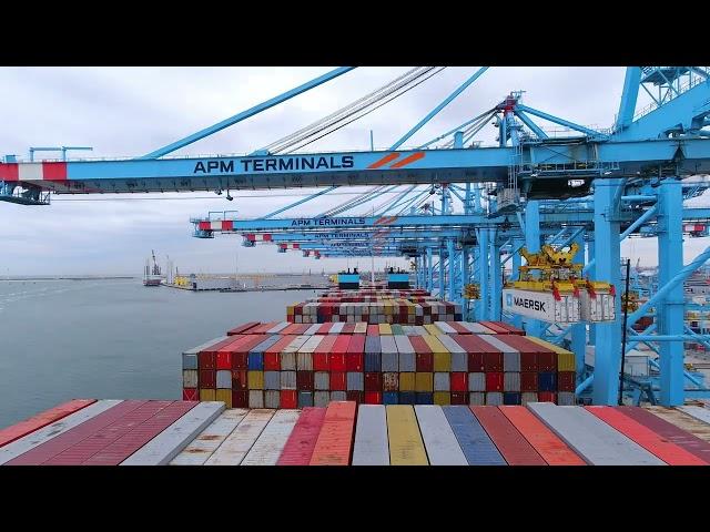 New record in container handling at APM Terminals MVII