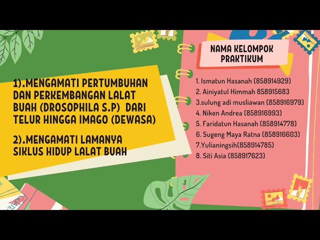 pertumbuhan dan perkembangan hewan lalat buah