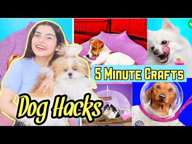 Testing Out VIRAL PET HACKS BY 5 MINUTE CRAFTS | Yashita Rai