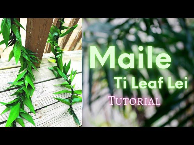 How to Make a Maile Ti Leaf Lei!