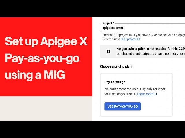 Walkthrough: Set up Apigee X with Pay-as-You-Go using Managed Instance Group