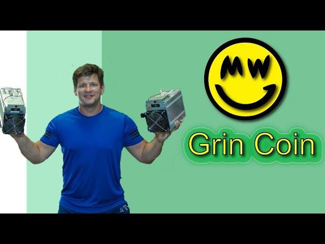 Grin coin mining guide on HiveOS, what is Grin?