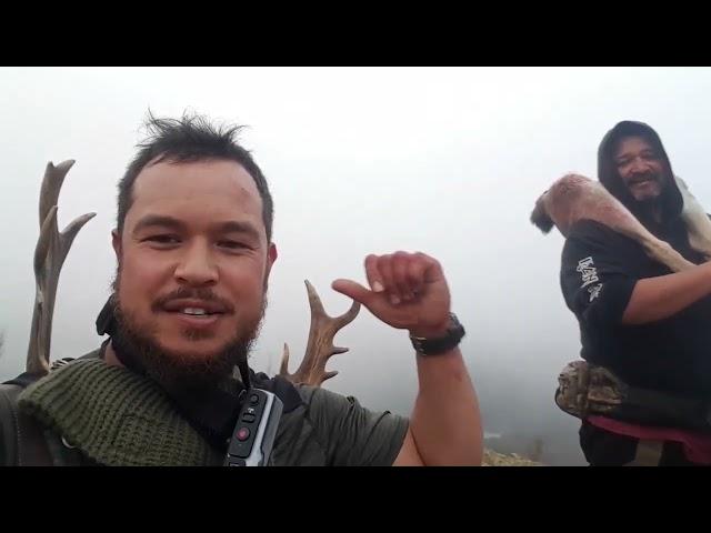 Hunting Aotearoa with an East Coast Bushman