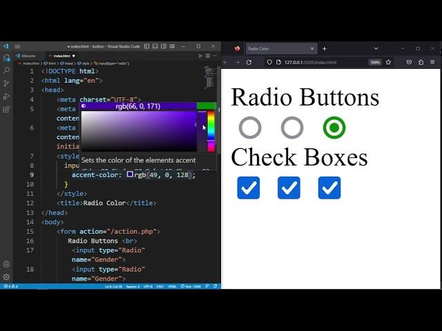 Customize Radio Buttons & Checkboxes: Change Colors with HTML and CSS Tutorial