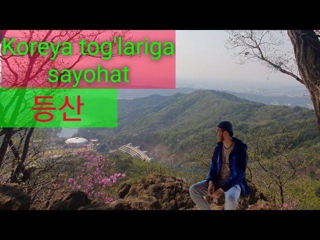 Koreya bo'ylab sayohat || Koreya tog'lariga sayohat.     #korea #등산  #한국 #한국여행 #sayohat #hiking