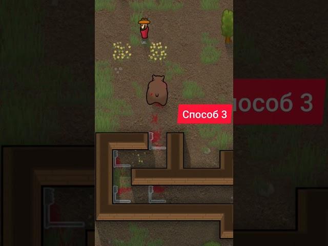 #rimworld #fyp #gaming #bear #beer