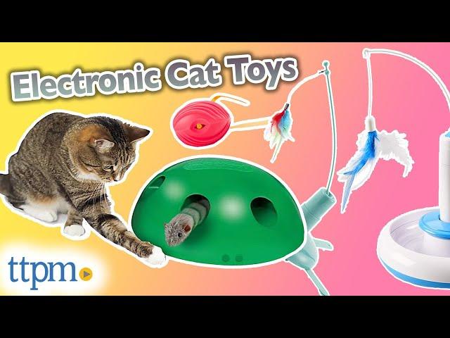 We Tested Electronic Cat Toys So You Don't Have To | Electronic Cat Toys Review 2021 | TTPM Pets