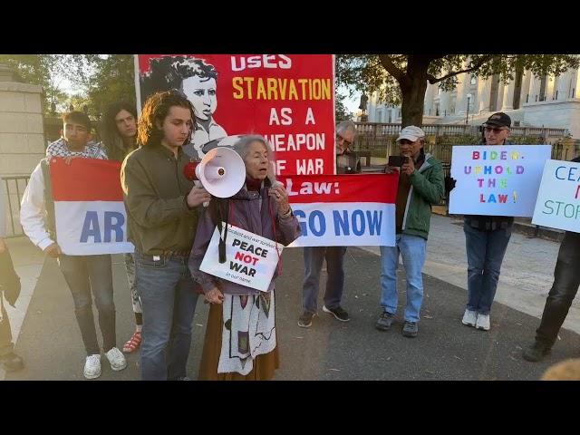 Pro-Palestine protesters gather at White House week after Trump elected