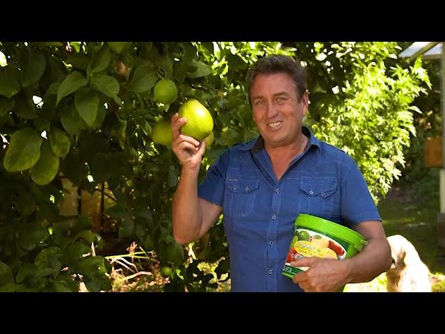 The Garden Gurus - Sweetening Citrus Fruit