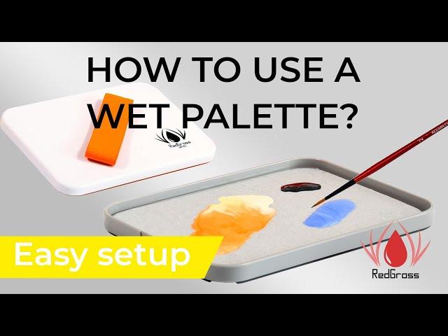 How to use a wet palette?