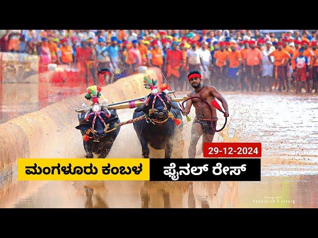 Mangaluru Kambala Final race 2024 | ಮಂಗಳೂರು ರಾಮ ಲಕ್ಷ್ಮಣ ಕಂಬಳ ಫೈನಲ್ ರೇಸ್