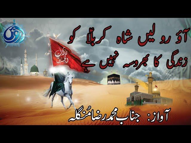 Aao Ro Leen Shah-E-Karbala (a.s) Ko | Chahlum Ka Tareekhi Kalam | Muhammad Raza Mungla | derwesh Tv