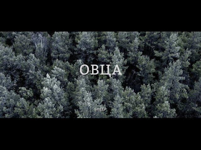 Короткометражный фильм "ОВЦА"