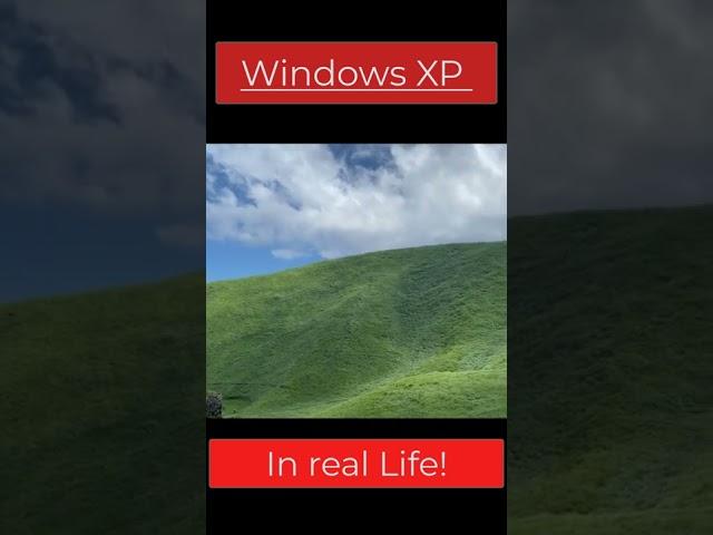 Windows XP Startup Sound and Background in Real Life!